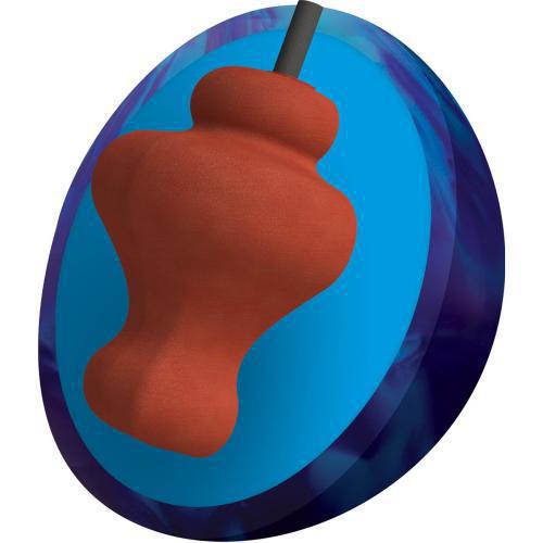 Kaboom Pearl (Disco)