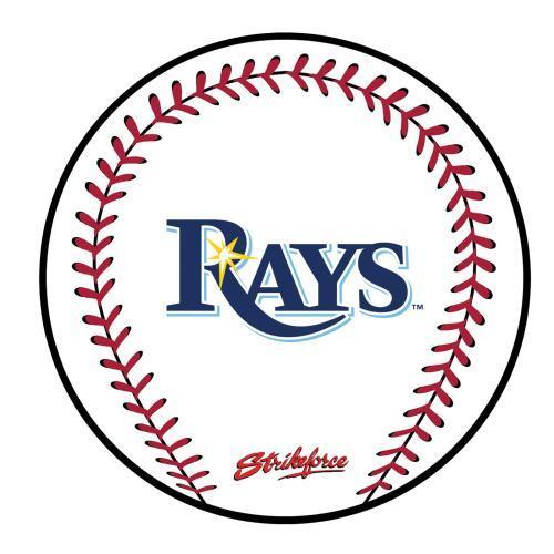 MLB Round Rubber Shammy - Tampa Bay Rays