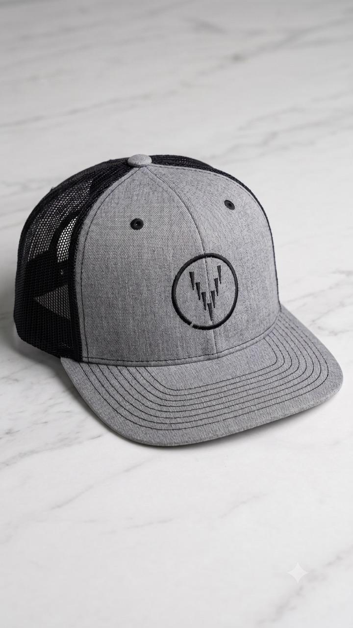 Virtue Economy Hat Gray/Black