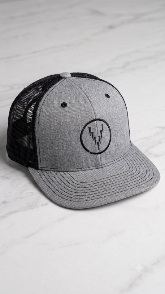 Virtue Economy Hat Gray/Black