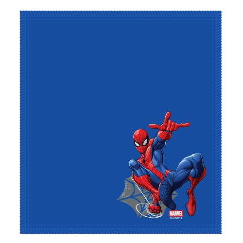 Marvel Shammy Spider Man Web