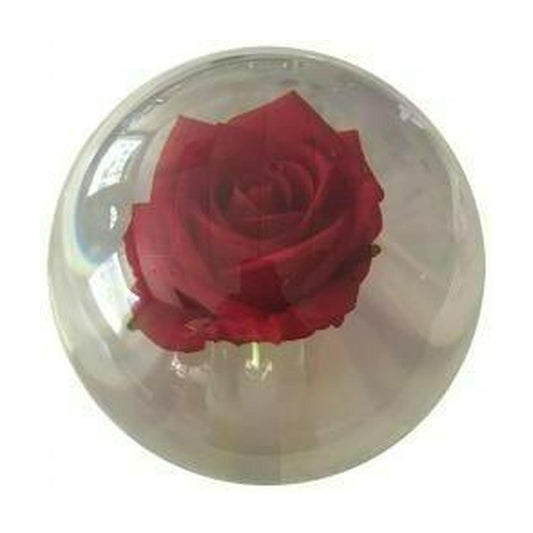 Clear Rose Polyester - OTB
