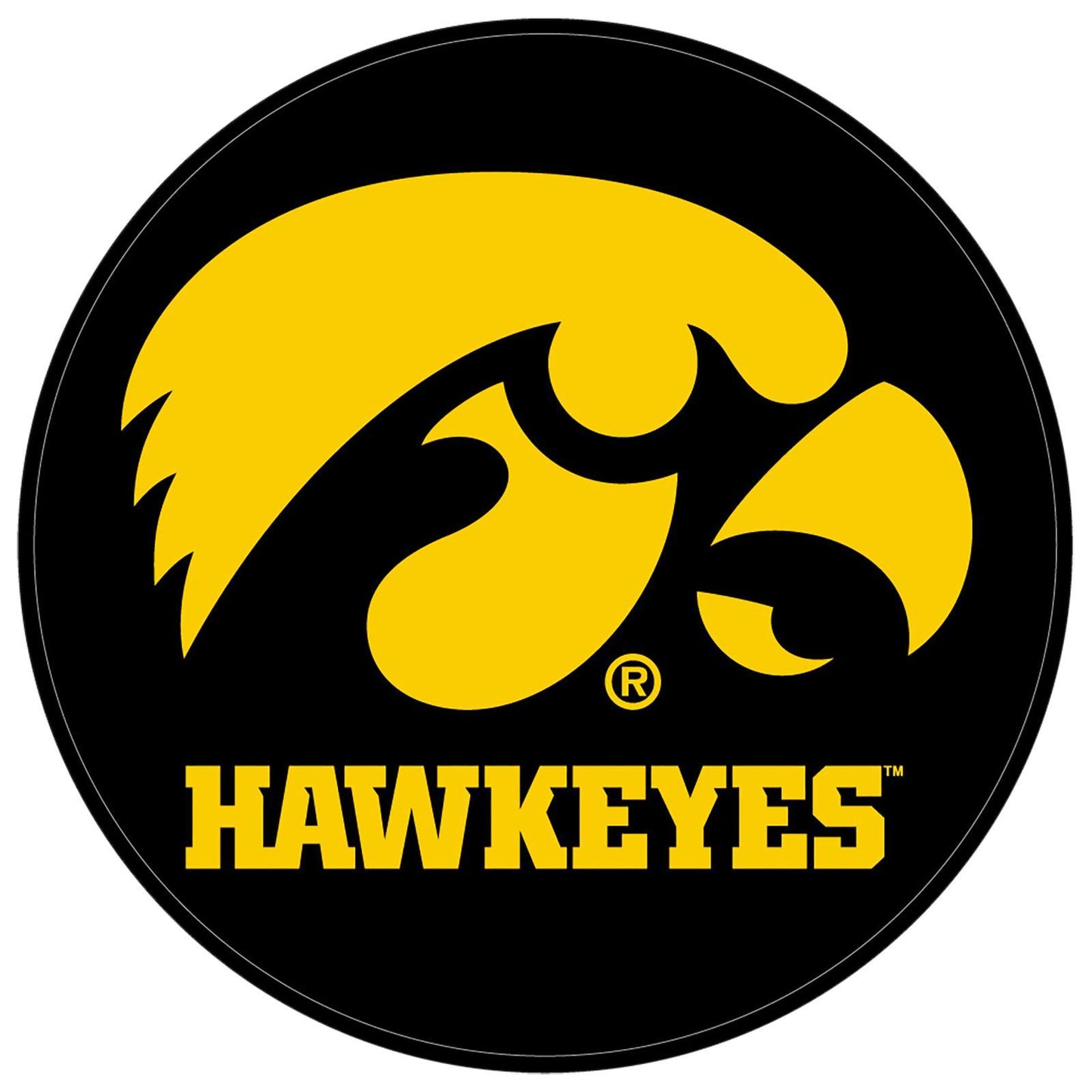 NCAA Rubber Round Shammy - University of Iowa Hawkeyes